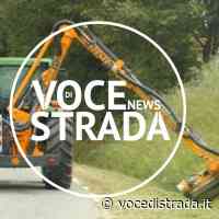 Albanella, erba alta e sterpaglia: ecco le zone bonificate - Voce di Strada