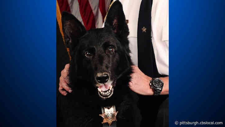 Indiana County Sheriff’s Office Mourning Death Of K-9 Bak