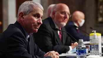 U.S. could reach 100,000 new daily coronavirus cases if surge continues, Fauci says