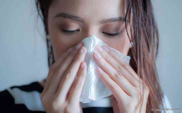 Coronavirus world round-up: new swine flu has 'potential' to be new global pandemic