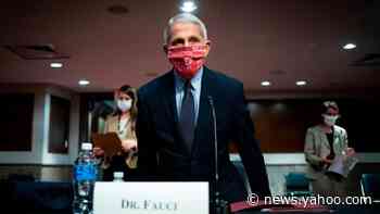 Coronavirus: Fauci warns of 100,000 US cases per day