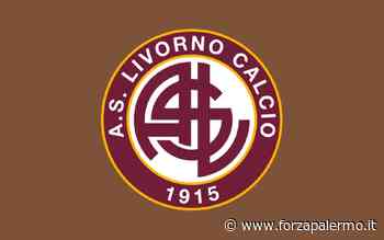 Livorno, Spinelli non proroga contratti: via subito 18 giocatori - ForzaPalermo.it