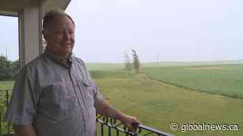 ‘Absolutely ideal’: wet weather helping many southern Alberta farmers after several dry years