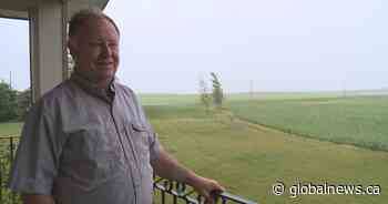 How heavy June rainfall has impacted southern Alberta farming