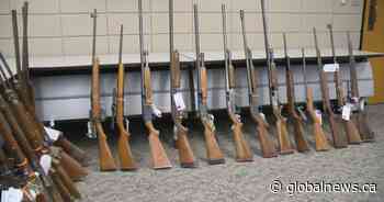 These are the guns taken off the streets of Saskatoon in 2019