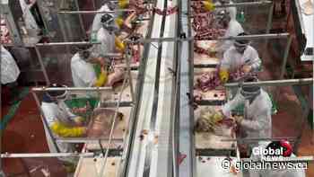 Alberta push to suspend temporary foreign worker program concerning for food industry