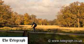 10 of London's most scenic bike rides - Telegraph.co.uk