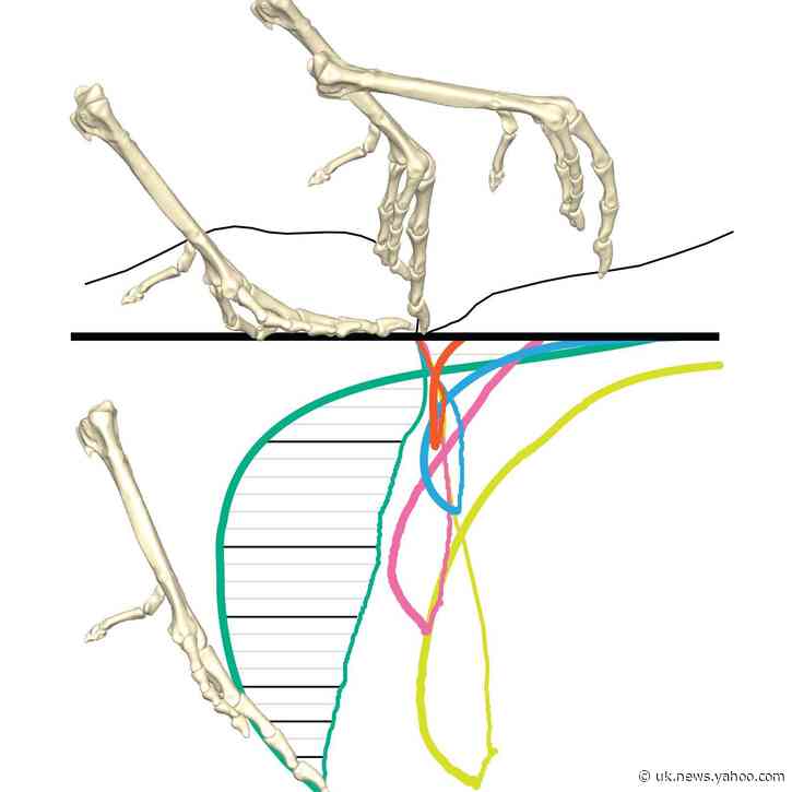 early jurassic period dinosaurs