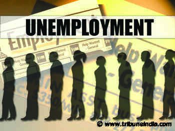 Unemployment up, Punjab starts listing jobs, workforce - The Tribune India