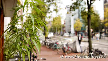 Shipping medical cannabis: a Dutch perspective - Health Europa
