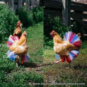 Patriotic Chicken Tutu