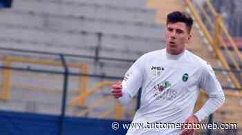 UFFICIALE: Modena, rinnovo anche per il centrale difensivo Ingegneri - TUTTO mercato WEB