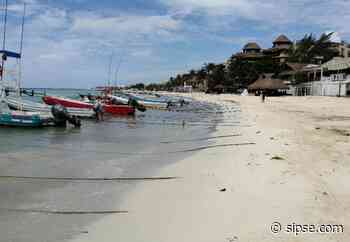 Playa del Carmen: Pescadores sobreviven con un servicio acuático diario - sipse.com