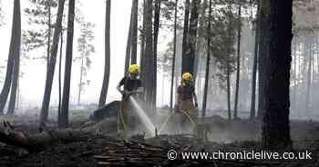 35,000 sign petition to ban disposable barbecues