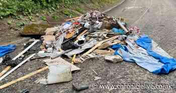 Councillor slams mindless fly-tipper after rubbish dumped across busy city road