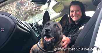 Suspected drink driver to appear in court after being found hiding in bush