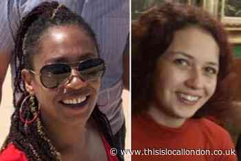 Man arrested on suspicion of murdering sisters at Fryent Park