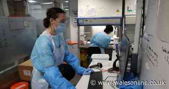Six more people die in Wales as pandemic cases rise by 32
