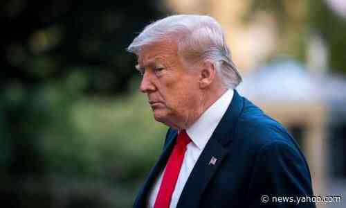 Trump niece's book blocked by New York judge but lawyer files appeal