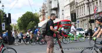 E-scooter safety fears over 'genuine threat' posed to blind pedestrians