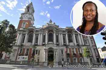 Concern over 'lengthy, costly' councillor investigation raised