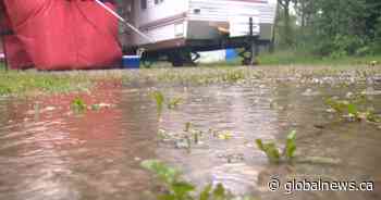 Wet June means struggles for Calgary area outdoor businesses, campgrounds - Globalnews.ca