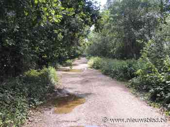 Gemeente overlegt met Defensie om wandelen langs Groot Schietveld mogelijk te maken