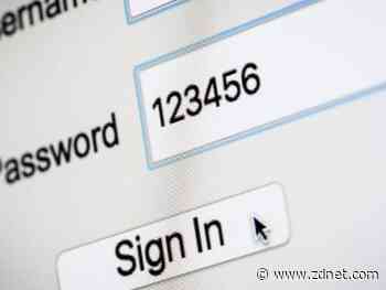 One out of every 142 passwords is '123456'