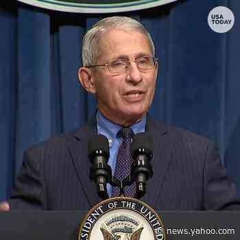 Anthony Fauci tells Congress new coronavirus cases could reach 100,000 a day without changes