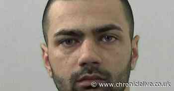 Drug dealer with two cannabis farms jailed after 'nonsense' personal use claim