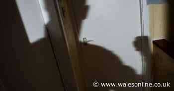 Man throttled partner until she passed out before spitting on her