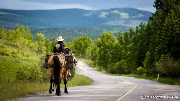 'I love this country:' Brazilian cowboy nears end of epic horse ride in Calgary