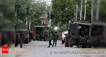 Army foils infiltration bid in Rajouri, armed terrorist killed