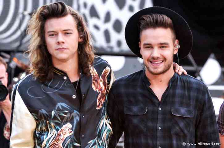 Are Liam Payne & Harry Styles Planning a One Direction Reunion?