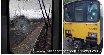 A train driver was injured after a stone was thrown at his cab - police are now appealing for witnesses