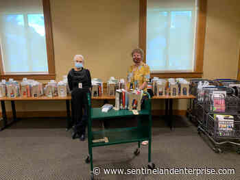 Local libraries continue operations with an unusual quarantine: Books - Sentinel & Enterprise