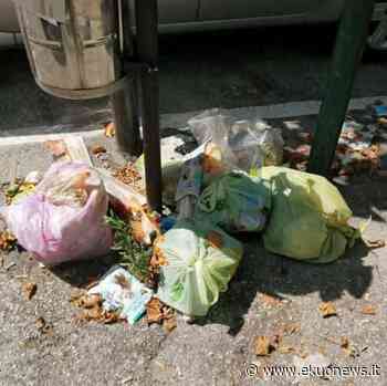 FOTO | Teramo Vivi Città contro i rifiuti selvaggi. Telecamere per gli incivili - ekuonews.it