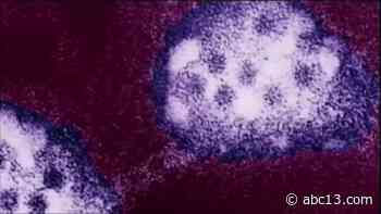 Texas reports highest one-day total of new coronavirus cases - KTRK-TV