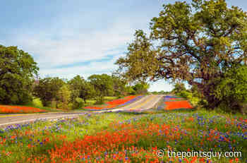 3 unique road trips you can take from Houston in 4 hours or less - The Points Guy