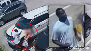 Houston mother attacked while unloading groceries - KTRK-TV