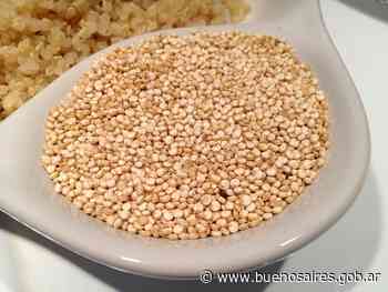 Quinoa, el grano madre | Noticias | Buenos Aires Ciudad - buenosaires.gob.ar