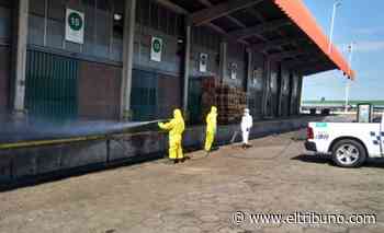 Se descontroló el Mercado Central de Buenos Aires y hay 90 casos de coronavirus - El Tribuno.com.ar