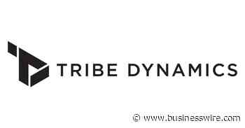 Influencer Marketing Platform, Tribe Dynamics, Launches TikTok Tracking Software for Beauty, Fashion, and Lifestyle Brands - Business Wire