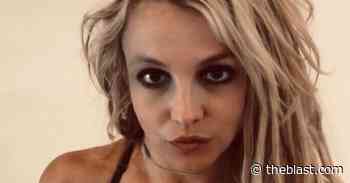 Britney Spears' Skimpy Instagram Fashion Show Deemed Not 'Normal' - The Blast