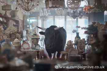 Pick of the Week: Moneysupermarket finally finds its calm