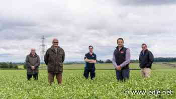 Yorkshire Water and Birds Eye to support carbon-capturing 'pop up rainforest'