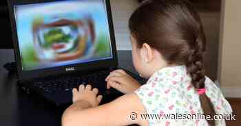 Online games should be tested for potential to cause harm and addiction, report says - Wales Online