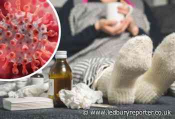 Those who've had coronavirus urged to help major UK survey