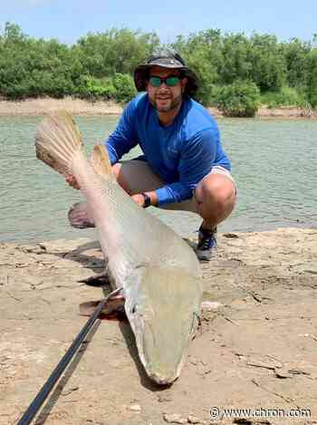 Webb County Commissioner reels in large alligator gar