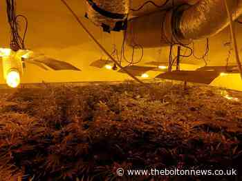 Police discover cannabis farm in Sheldon Close, Farnworth